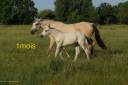 <img alt='Zoom image' src='images/b_search.png'><b> Cliquez pour zoomer</b>