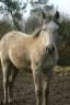 <img alt='Zoom image' src='images/b_search.png'><b> Cliquez pour zoomer</b>