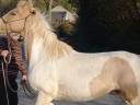 <img alt='Zoom image' src='images/b_search.png'><b> Cliquez pour zoomer</b>