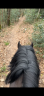 <img alt='Zoom image' src='images/b_search.png'><b> Cliquez pour zoomer</b>