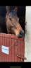 <img alt='Zoom image' src='images/b_search.png'><b> Cliquez pour zoomer</b>