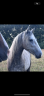 <img alt='Zoom image' src='images/b_search.png'><b> Cliquez pour zoomer</b>