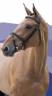 <img alt='Zoom image' src='images/b_search.png'><b> Cliquez pour zoomer</b>