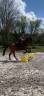 <img alt='Zoom image' src='images/b_search.png'><b> Cliquez pour zoomer</b>