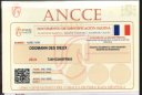<img alt='Zoom image' src='images/b_search.png'><b> Cliquez pour zoomer</b>