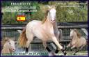 <img alt='Zoom image' src='images/b_search.png'><b> Cliquez pour zoomer</b>