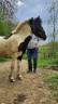 <img alt='Zoom image' src='images/b_search.png'><b> Cliquez pour zoomer</b>