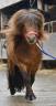 <img alt='Zoom image' src='images/b_search.png'><b> Cliquez pour zoomer</b>