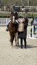 <img alt='Zoom image' src='images/b_search.png'><b> Cliquez pour zoomer</b>