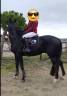 <img alt='Zoom image' src='images/b_search.png'><b> Cliquez pour zoomer</b>