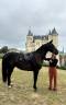 <img alt='Zoom image' src='images/b_search.png'><b> Cliquez pour zoomer</b>