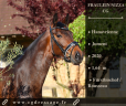 <img alt='Zoom image' src='images/b_search.png'><b> Cliquez pour zoomer</b>