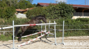 <img alt='Zoom image' src='images/b_search.png'><b> Cliquez pour zoomer</b>