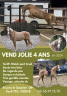 <img alt='Zoom image' src='images/b_search.png'><b> Cliquez pour zoomer</b>