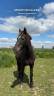 <img alt='Zoom image' src='images/b_search.png'><b> Cliquez pour zoomer</b>