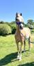 <img alt='Zoom image' src='images/b_search.png'><b> Cliquez pour zoomer</b>