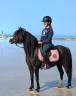 <img alt='Zoom image' src='images/b_search.png'><b> Cliquez pour zoomer</b>