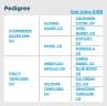<img alt='Zoom image' src='images/b_search.png'><b> Cliquez pour zoomer</b>