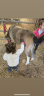 <img alt='Zoom image' src='images/b_search.png'><b> Cliquez pour zoomer</b>