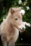 <img alt='Zoom image' src='images/b_search.png'><b> Cliquez pour zoomer</b>