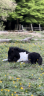 <img alt='Zoom image' src='images/b_search.png'><b> Cliquez pour zoomer</b>