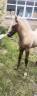 <img alt='Zoom image' src='images/b_search.png'><b> Cliquez pour zoomer</b>