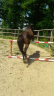 <img alt='Zoom image' src='images/b_search.png'><b> Cliquez pour zoomer</b>