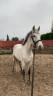 <img alt='Zoom image' src='images/b_search.png'><b> Cliquez pour zoomer</b>