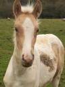 <img alt='Zoom image' src='images/b_search.png'><b> Cliquez pour zoomer</b>