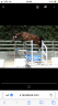 <img alt='Zoom image' src='images/b_search.png'><b> Cliquez pour zoomer</b>