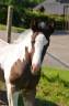 <img alt='Zoom image' src='images/b_search.png'><b> Cliquez pour zoomer</b>