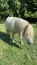 <img alt='Zoom image' src='images/b_search.png'><b> Cliquez pour zoomer</b>