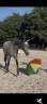 <img alt='Zoom image' src='images/b_search.png'><b> Cliquez pour zoomer</b>