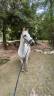 <img alt='Zoom image' src='images/b_search.png'><b> Cliquez pour zoomer</b>