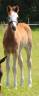 <img alt='Zoom image' src='images/b_search.png'><b> Cliquez pour zoomer</b>