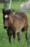 <img alt='Zoom image' src='images/b_search.png'><b> Cliquez pour zoomer</b>