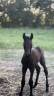 <img alt='Zoom image' src='images/b_search.png'><b> Cliquez pour zoomer</b>