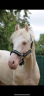<img alt='Zoom image' src='images/b_search.png'><b> Cliquez pour zoomer</b>