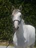 <img alt='Zoom image' src='images/b_search.png'><b> Cliquez pour zoomer</b>