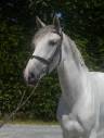<img alt='Zoom image' src='images/b_search.png'><b> Cliquez pour zoomer</b>