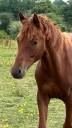 <img alt='Zoom image' src='images/b_search.png'><b> Cliquez pour zoomer</b>