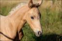 <img alt='Zoom image' src='images/b_search.png'><b> Cliquez pour zoomer</b>