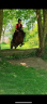 <img alt='Zoom image' src='images/b_search.png'><b> Cliquez pour zoomer</b>