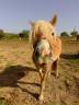 <img alt='Zoom image' src='images/b_search.png'><b> Cliquez pour zoomer</b>