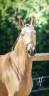 <img alt='Zoom image' src='images/b_search.png'><b> Cliquez pour zoomer</b>
