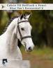 <img alt='Zoom image' src='images/b_search.png'><b> Cliquez pour zoomer</b>