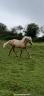 <img alt='Zoom image' src='images/b_search.png'><b> Cliquez pour zoomer</b>