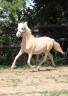 <img alt='Zoom image' src='images/b_search.png'><b> Cliquez pour zoomer</b>