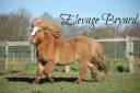 <img alt='Zoom image' src='images/b_search.png'><b> Cliquez pour zoomer</b>