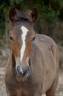 <img alt='Zoom image' src='images/b_search.png'><b> Cliquez pour zoomer</b>